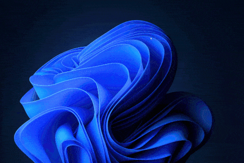 Play “Find the mouse pointer” in Windows 11 and Windows 10